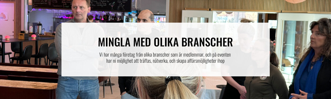 Mitt i Malmö - mingla med olika branscher